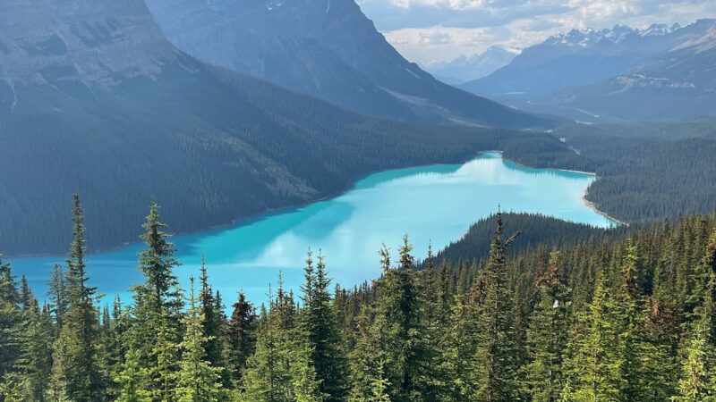 A Quick Stop at Peyto Lake: Worth Every Second